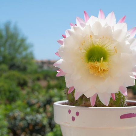Casa Aromas - Casa Rural Exclusiva Cerca De La Playa - By Marina Alta Holidays Denia Ngoại thất bức ảnh